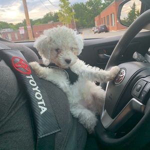 Meet your Posher, Jay